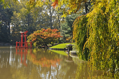 November 1, 2011 Photo Shoot - Brooklyn Botanic Garden