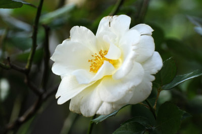 DSC_6728.JPG