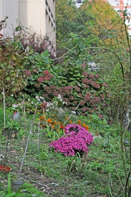 DSC_6729.JPG