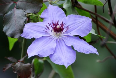 DSC_6739.JPG