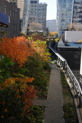 November 9, 2011 Photo Shoot - Washington Square & Chelsea High Line