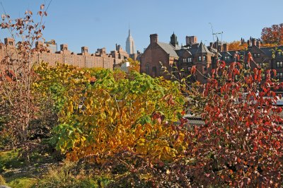 DSC_7415.JPG
