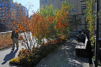 DSC_7440.JPG