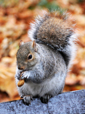 November 16, 2011 Photo Shoot - Washington Square Park & Neighborhood