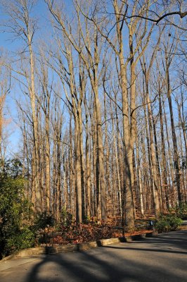 DSC_8006.JPG