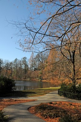 DSC_8008.JPG