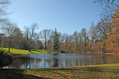 DSC_8009.JPG