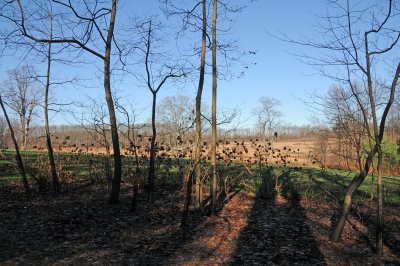 DSC_8014.JPG