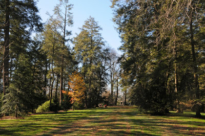 DSC_8019.JPG