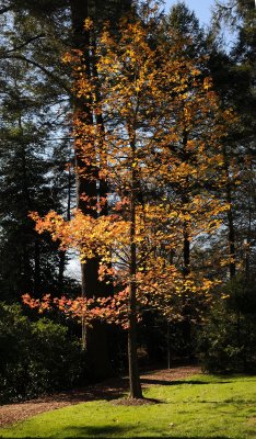 DSC_8020.JPG