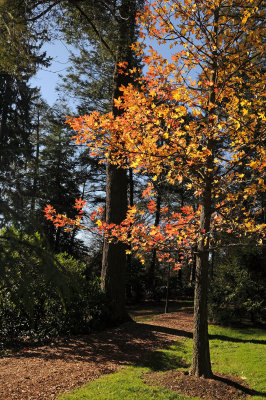 DSC_8021.JPG