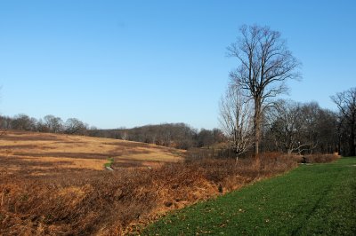 DSC_8032.JPG