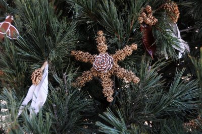 DSC_8047.JPG