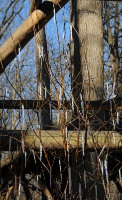 DSC_8053.JPG