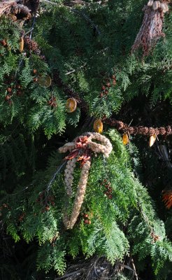 DSC_8068.JPG