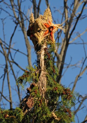 DSC_8070.JPG