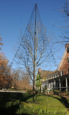 DSC_8072.JPG