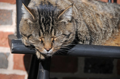 DSC_8076.JPG