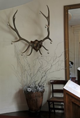 DSC_8091.JPG