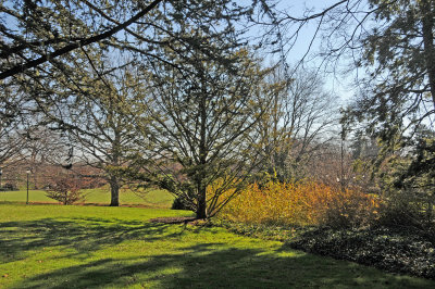 DSC_8109.JPG