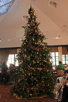 DSC_8113.JPG