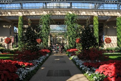 DSC_8123.JPG