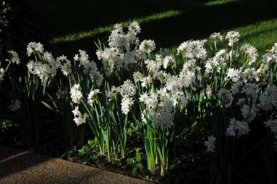 DSC_8126.JPG