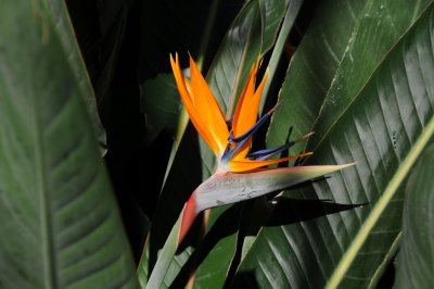 DSC_8133.JPG
