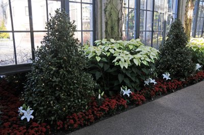 DSC_8137.JPG