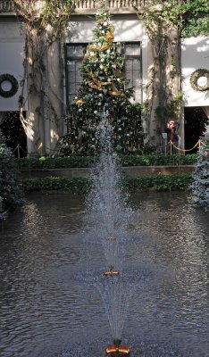 DSC_8143.JPG