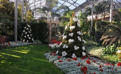DSC_8172.JPG