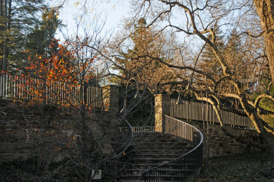 DSC_8238.JPG