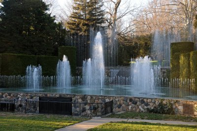 DSC_8239.JPG