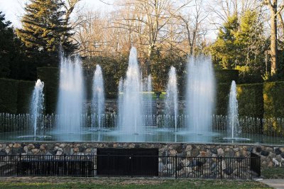 DSC_8240.JPG
