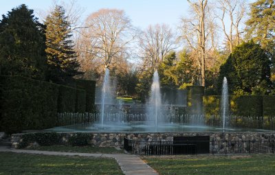 DSC_8242.JPG