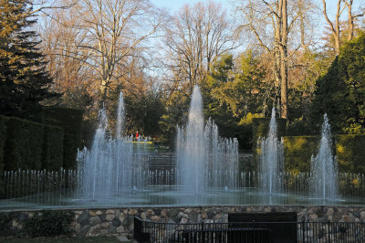 DSC_8244.JPG