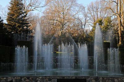 DSC_8248.JPG