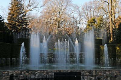 DSC_8249.JPG