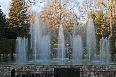 DSC_8250.JPG