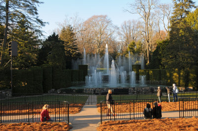DSC_8253.JPG