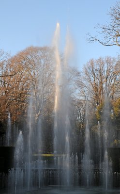 DSC_8254.JPG