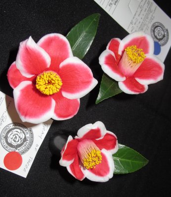 Camellia Show