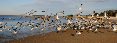 Fort Island Gulf Beach