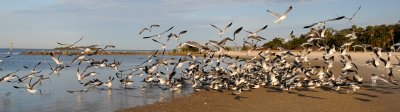 Fort Island Gulf Beach