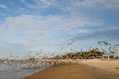 Fort Island Gulf Beach