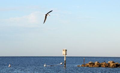 Fort Island Gulf Beach