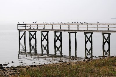 DSC_1008.JPG