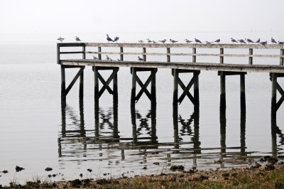 DSC_1009.JPG