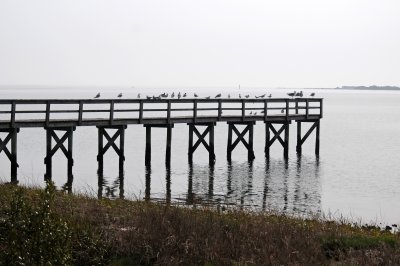 DSC_1014.JPG