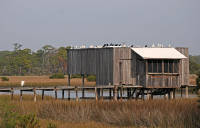 DSC_1019.JPG
